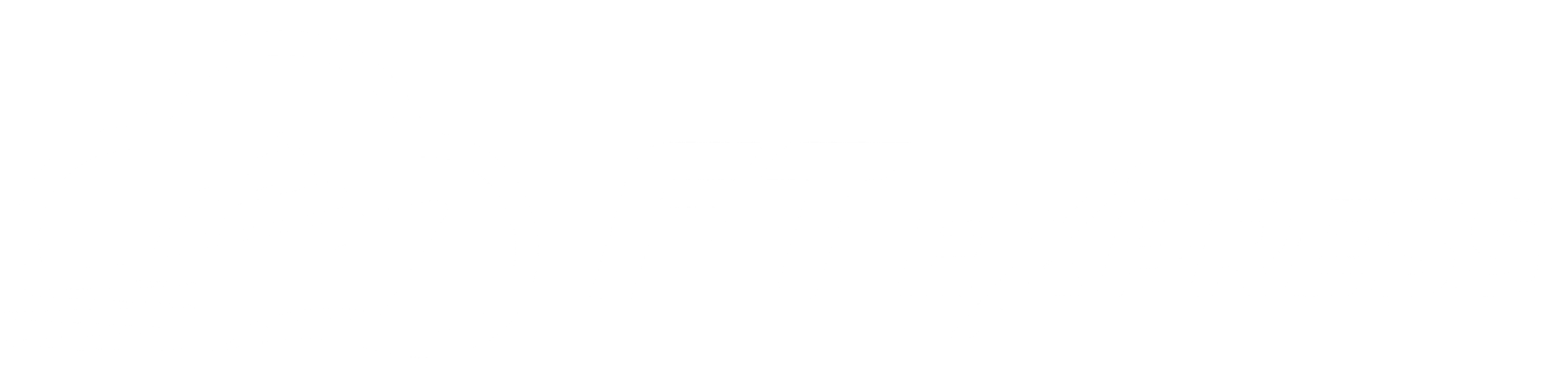 Ft Express